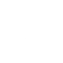 Inspectiva